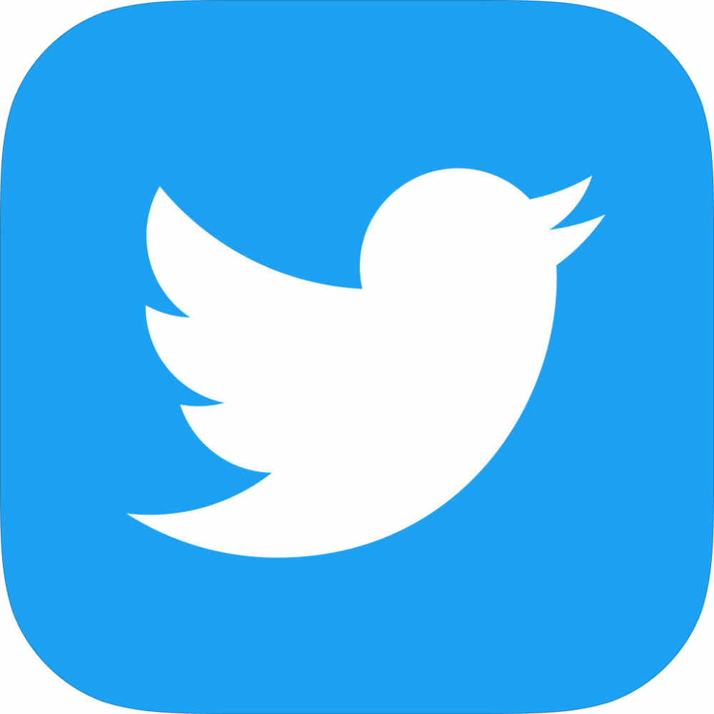 Twitter Logo link